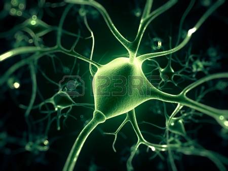 18448731-3d-оказываемых-иллюстрация-нервной-клетки.jpg